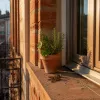 Appartement en logement locatif intermédiaire à Toulouse : comprendre le marché, les prix et les vrais avantages